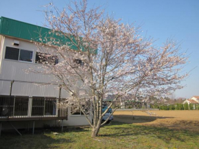 Отель Narita Airport Hostel  Сибаяма